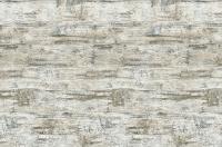 2050_fn_vintazhnaya_sosna