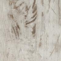 Cleaf-LM63-TopMatrix