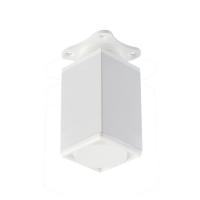 NM_DAK27_100_10_Belyy