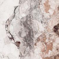 FS808 S1 R3 Бэлла Россо