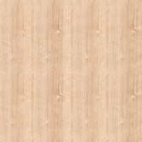 вишня гамильтон