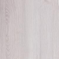 Сосна аланд белая