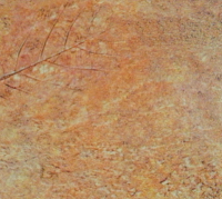 Основное изображение