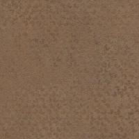 кобра бронза