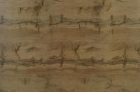 9761_sd_dub_votan_premium