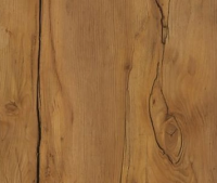 таксония темная