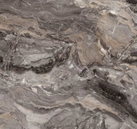 паладина корич