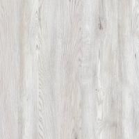 пальмира (2)