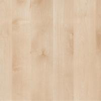 береза нордик