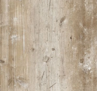 финдус бежевый