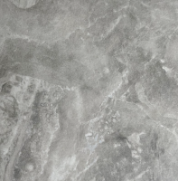 паладина светлая