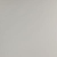 kashemir-seryy-shagren---yug