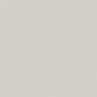 светло серый