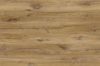 9755_cd_dub_flagstaff_svetlyy