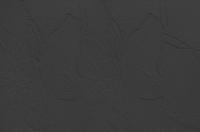 2754_sk_grafit_