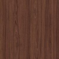 вяз швейцарский