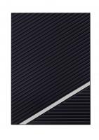 рэй серебряные линии