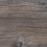 2057_c_sosna_panderosa_3_gr