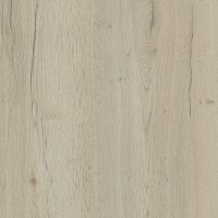 дуб галиыф белый