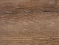 дуб американский