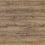 4587_aleve_slavyanskiy_dub