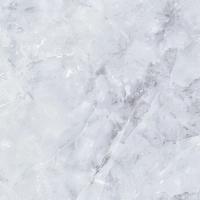 тарсис белый