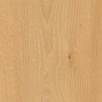 бук луговой