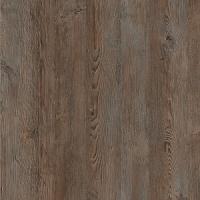 Сосна санторини