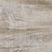 2109-Mnogoletnij-dub-1000h1000px-e1673507781622