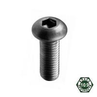 Винт М6х35 полукруглой головкой DIN