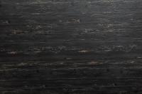 520_cd_norvezhskaya_sosna