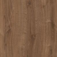 дуб скльный