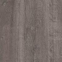 Дуб уайт ривер