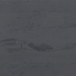 1001_moon_shtukaturka_antracit_novinka