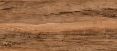 FS1490 W5 R3 Слэб карамельный1