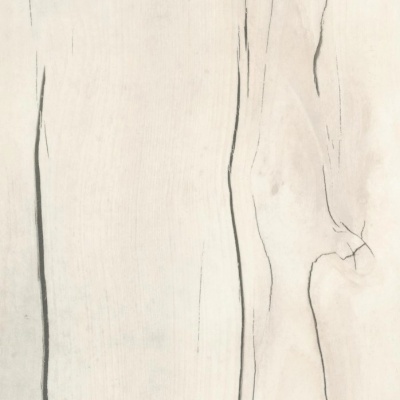 таксония светлая