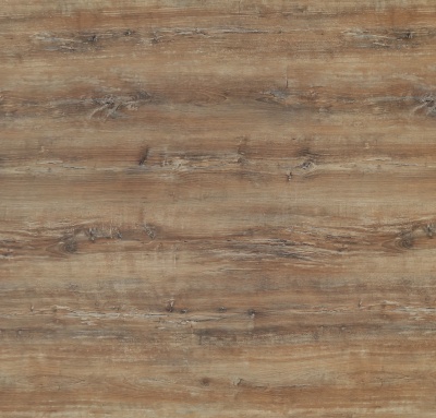 4587_aleve_slavyanskiy_dub