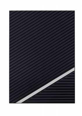 рэй серебряные линии