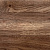 2065_s_dub_virdzhiniya_eksklyuziv_0