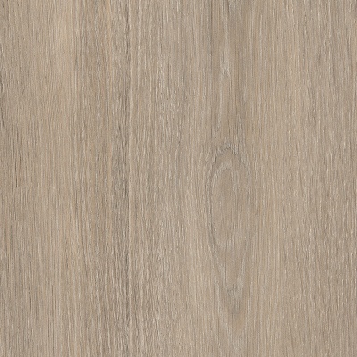 Дуб лоренцо