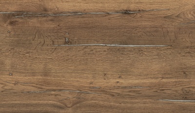 Дуб галифакс олово