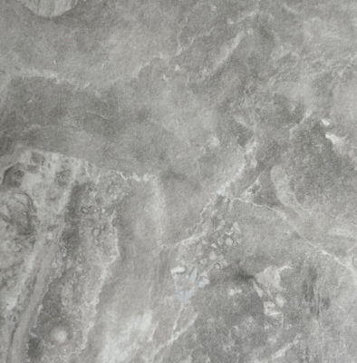 паладина светлая