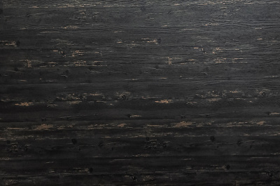 520_cd_norvezhskaya_sosna