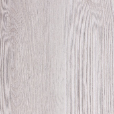 Сосна аланд белая