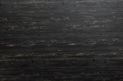 520_cd_norvezhskaya_sosna