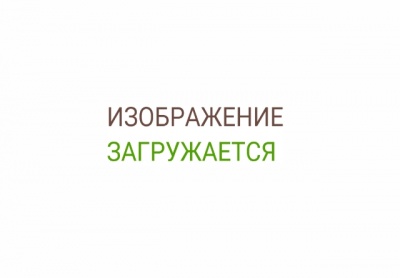 Основное изображение