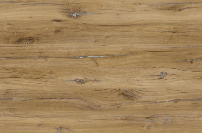 9755_cd_dub_flagstaff_svetlyy