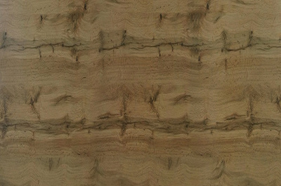 9761_sd_dub_votan_premium