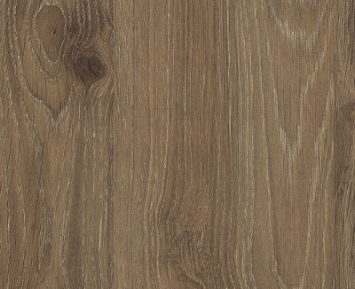 дуб трюфель