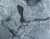 Screenshot_1-Kzugx440--transformed